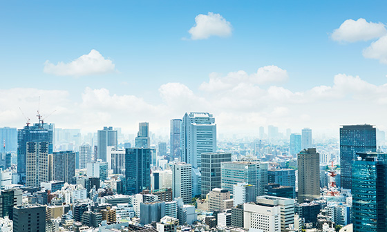 大手税税理士法人での、相続における豊富な経験